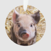 Stempel Ornament (voorkant)