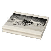 Stempel van drie paarden (Stempel)