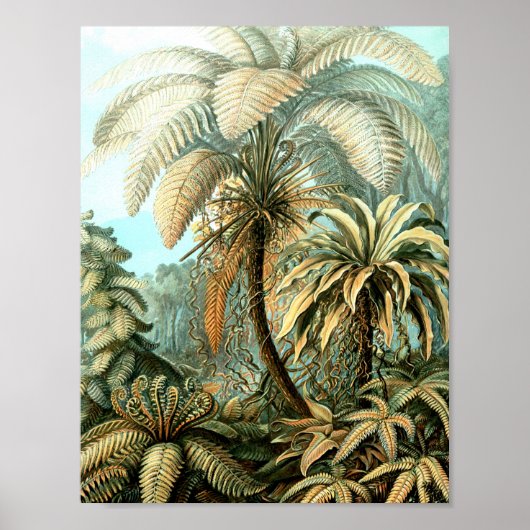 Stempel van Ernst Haeckels Kunstformen der N Poster (Voorkant)