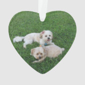 Stempelhonden Ornament (achterkant)