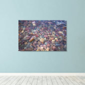 Stenen in het meer in het Glacier National Park Canvas Afdruk (Insitu (Houten vloer))