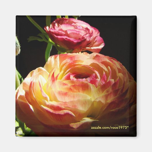 Stenen Magneet (Voorkant)