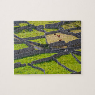 Stenen muren Galway Ierland. Legpuzzel