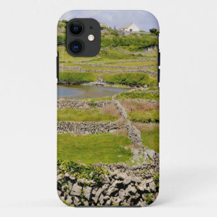 Stenen Muren van Ierland iPhone 11 Hoesje