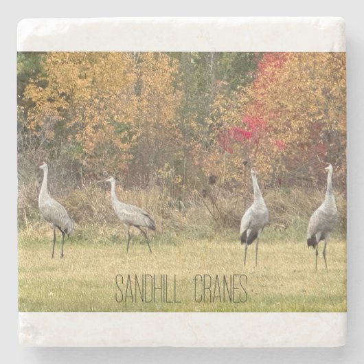 Stenen Onderzetter - Sandhill Cranes (Voorkant)