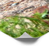 Stenen stammen in het versteende bos poster (Hoek)