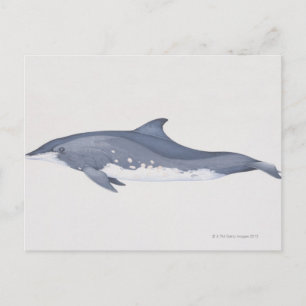 Steno Briefkaart