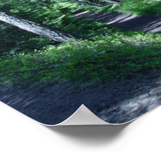 STEPHANEY DAY POSTER (Hoek)