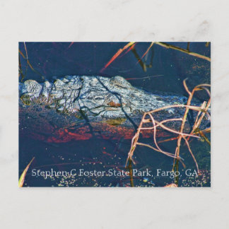 Stephen C Foster State Park, Gator Briefkaart