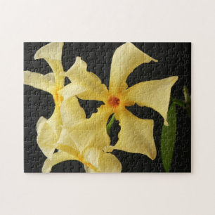 Ster Jasmijn Bloem 11x14 252pc jpcna Legpuzzel
