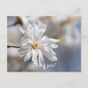 Ster Magnolia Bloesem Bedankkaart Briefkaart