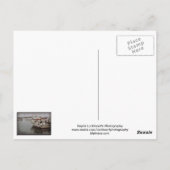 Ster van Monterey Briefkaart (Achterkant)