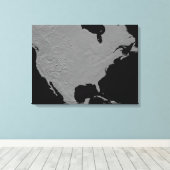Stereoscopisch uitzicht van Noord-Amerika Canvas Afdruk (Insitu (Houten vloer))