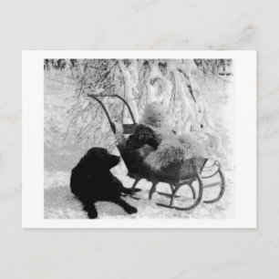  Stereoview - Baby in Sled Briefkaart