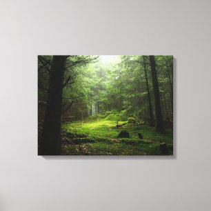 Sterf bos canvas afdruk
