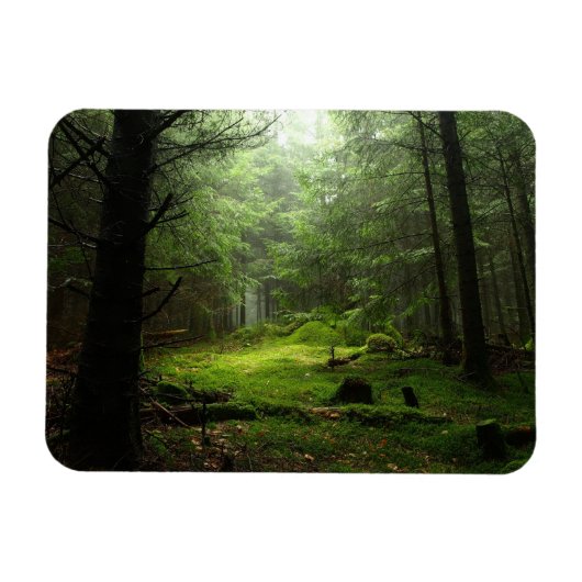 Sterf bos magneet (Horizontaal)
