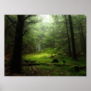 Sterf bos poster
