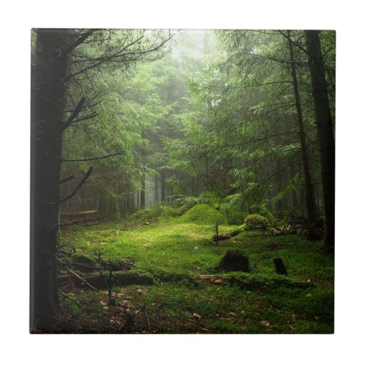 Sterf bos tegeltje (Voorkant)