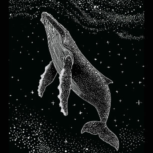 Sterige Bultrugwalvis Hemelstippen Kunst Zwarte Wh T-shirt