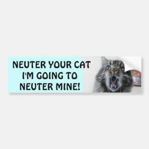 Steriliseer en castreren jullie kat. Geschokte Kit Bumpersticker
