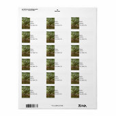 Sterk en Moedig Etiket (Full Sheet)