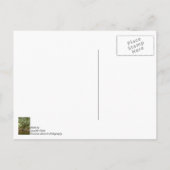 Sterk en Stoutmoedig Briefkaart (Achterkant)