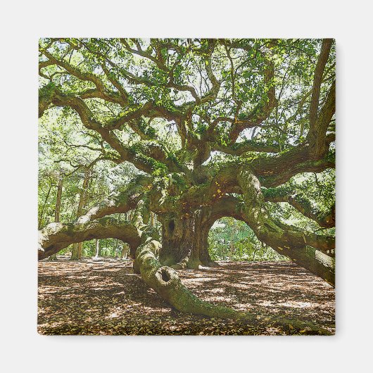 Sterk en vet magneet (Voorkant)