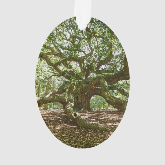 Sterk en vet ornament (achterkant)