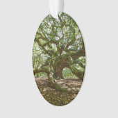 Sterk en vet ornament (voorkant)