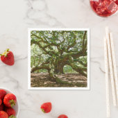 Sterk en vet servetten (Insitu)