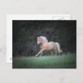 sterke wens briefkaart (Voorkant / Achterkant)