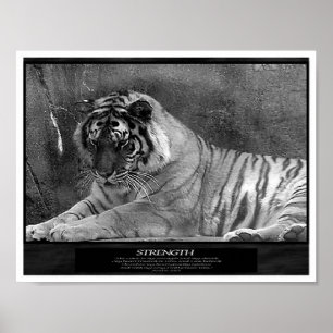 Sterkte als Christelijk Poster