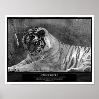 Sterkte als Christelijk Poster