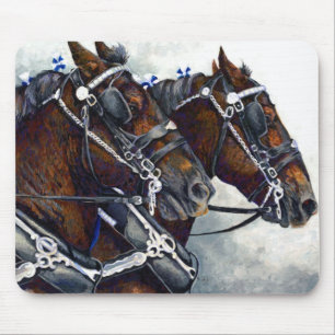 Sterkte en Glory Percheron Horse Team Muismat