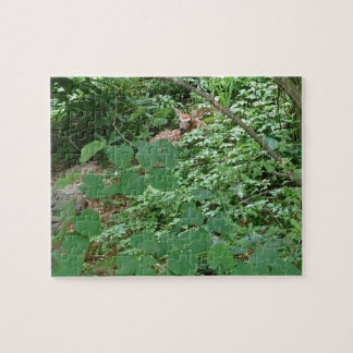 STERKTE VAN HET Hart! — — Legpuzzel