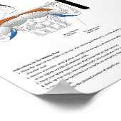 Sterktetraining - Anatomiegrafiek spieren Poster (Hoek)