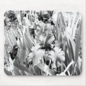 Sterling Irises.... Muismat (Voorkant)