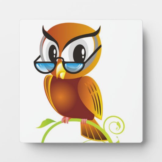 STERN OWL FOTOPLAAT (Voorkant)