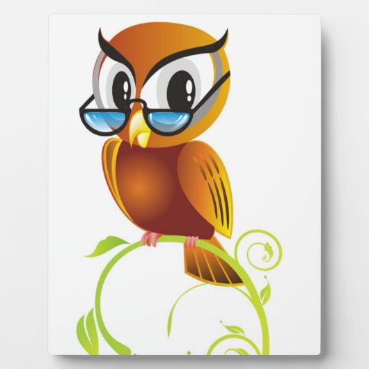 STERN OWL FOTOPLAAT (Voorkant)