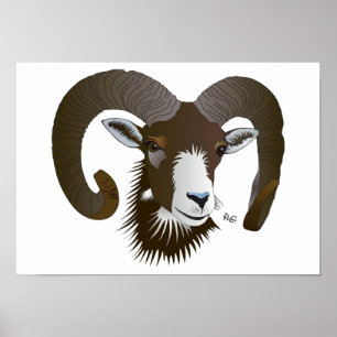 Sternzeichen - Poster Breedte