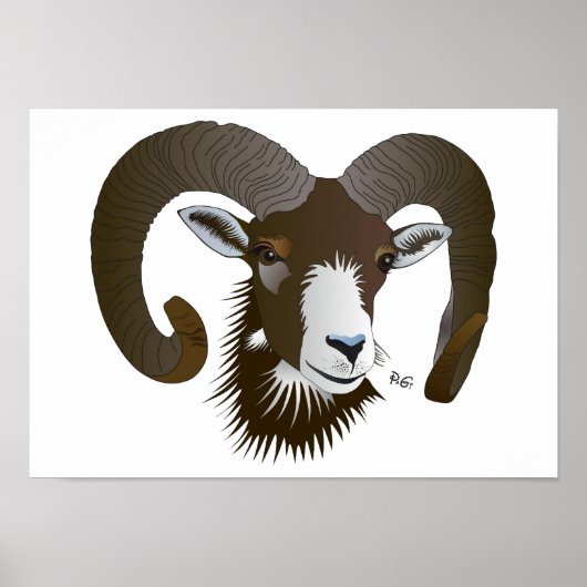 Sternzeichen - Poster Breedte (Voorkant)