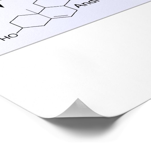 Steroidogenese Biologisch Chemisch Schema Poster (Hoek)