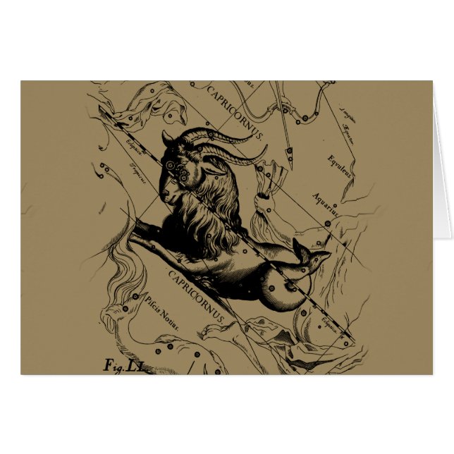 Sterrebeeld Steenbok Vintage Gravure Hevelius (Voorkant Horizontaal)