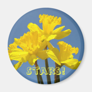 Sterren! Gele Narcissen magneten Blauwe Lucht Bloe