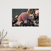 sterren houden vast aan poster (Keuken)