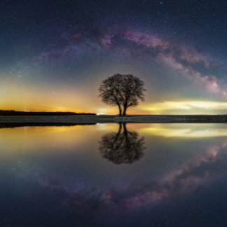 Sterren in reflectie met water poster