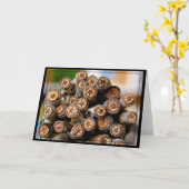 Sterren langs de Rio Grande Cotton Wood Trees Kaart (Gele Bloem)