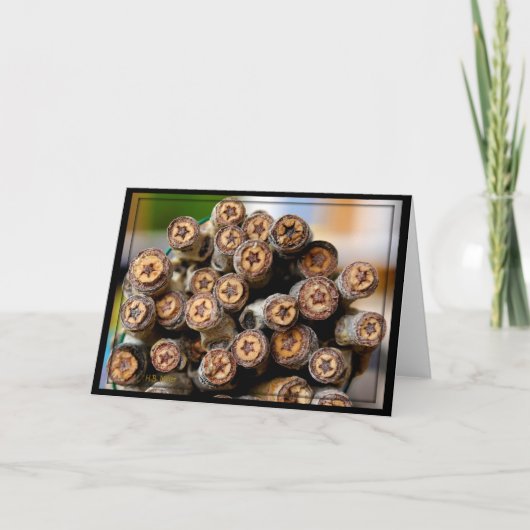 Sterren langs de Rio Grande Cotton Wood Trees Kaart (Voorkant)