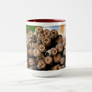 Sterren langs de Rio Grande Cotton Wood Trees Mok