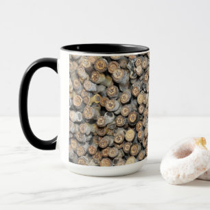 Sterren langs de Rio Grande Cotton Wood Trees Mok